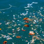 how to protect water from pollution