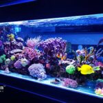 how to soften aquarium water