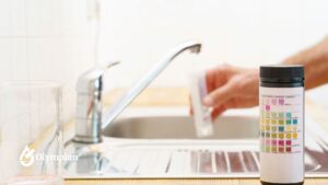 how to test water quality at home without a kit