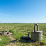 is well water better than tap water