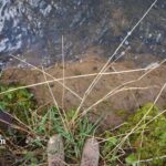 kings river water quality coalition