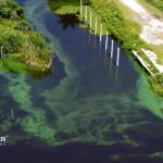 lake okeechobee water levels