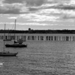 mission bay water quality