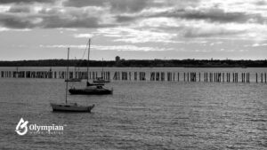 mission bay water quality