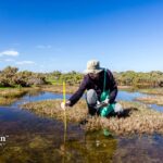parameters of water quality