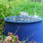 rainwater for drinking