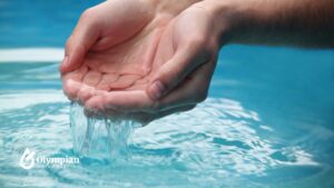 the clean water act