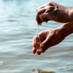 water quality california