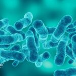 what is legionella in drinking water
