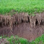 what type of water pollution is caused by land erosion