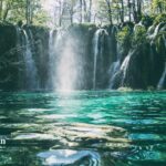 which is better purified or spring water