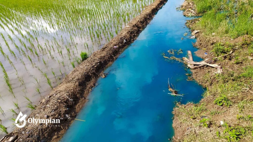 Blue water near a rice paddy. Well water contaminants can fluctuate; get regular well water testing.