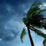 Stormy weather. Palm trees sway against a dark, cloudy sky. Seasonal storms affect well water.