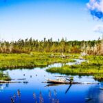 Key facts about Somerset County water quality