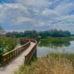 Monmouth County well water source: A wooden walkway curves over a calm lake under a cloudy sky. Trees and reeds line the shore.