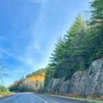 Upstate New York road with trees. Concerns about road salt affecting well water quality.