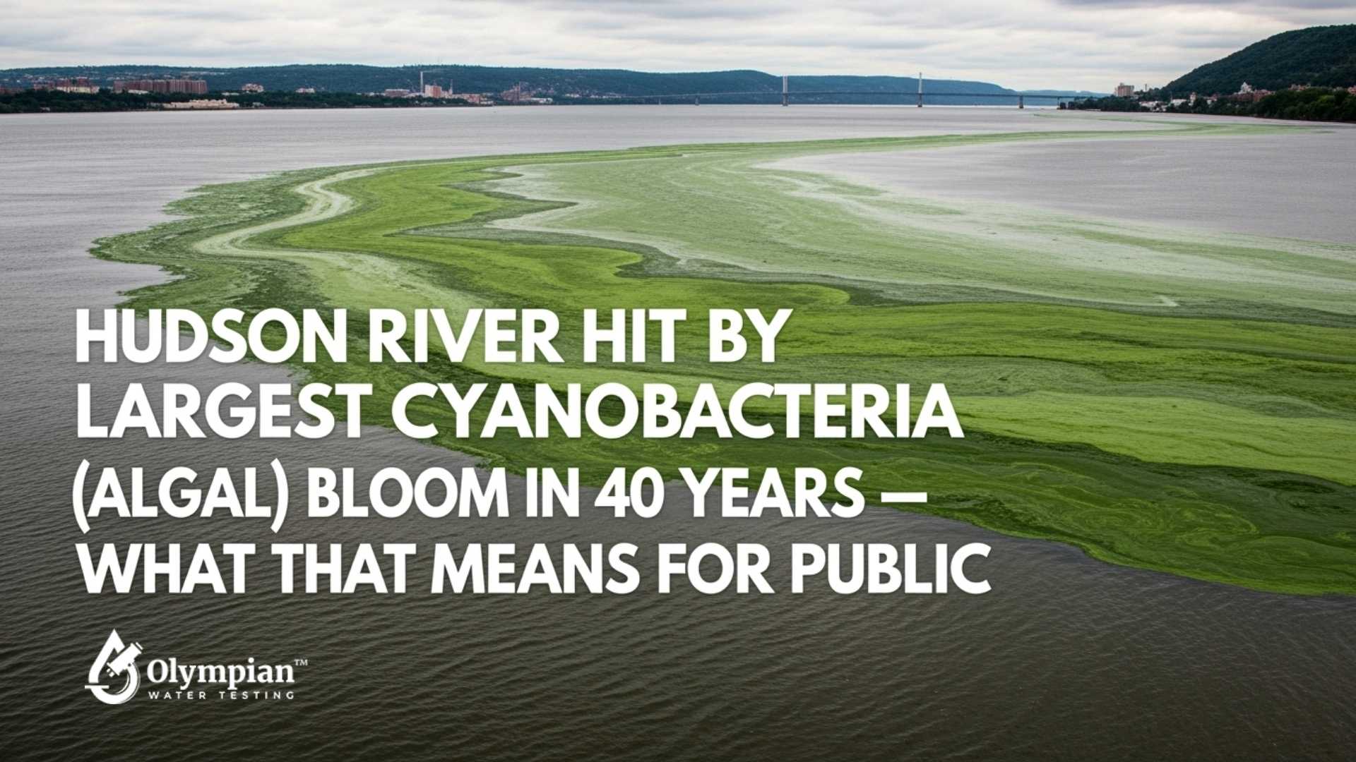 Hudson River Hit by Largest Cyanobacteria (Algal) Bloom in 40 Years — What That Means for Public