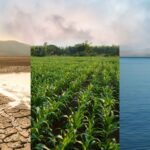 Well water change color: Drought, healthy crops, and clean water. Well owner guide.