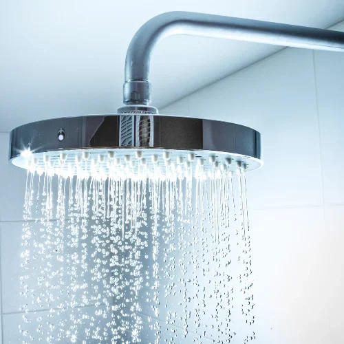 shower head